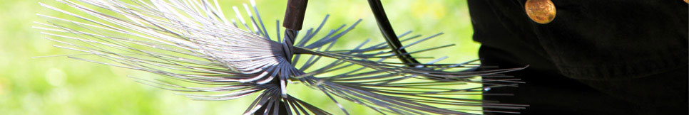 Banner - Carsten Knöppel